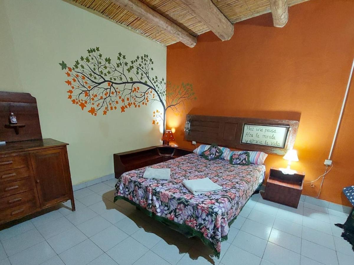 Munay Ecohostal - Cabanas De Adobe Tinogasta Exterior foto